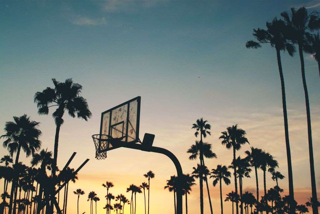 Arizona sunset basketball hoop and palm trees