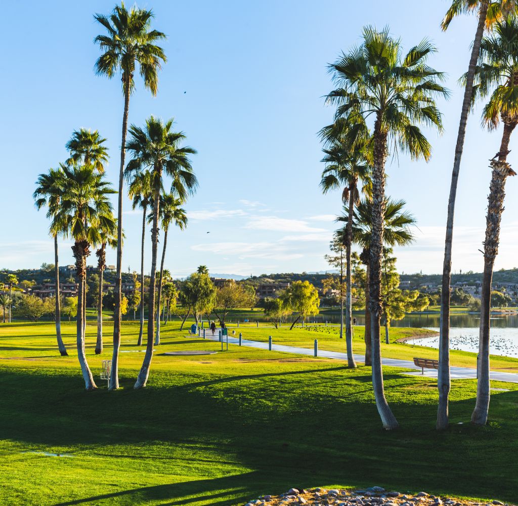 Arizona Golf Course and Palm Trees