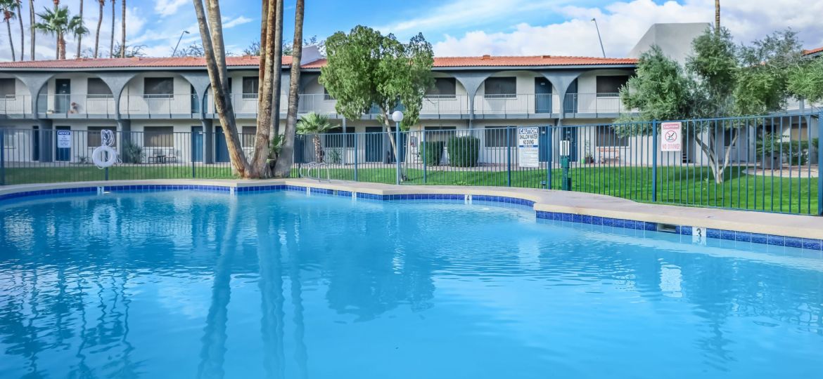 A swimming pool with palm trees in the background