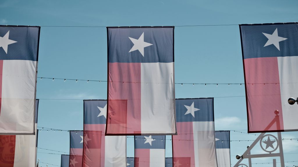 Texas Flags hung in the sky